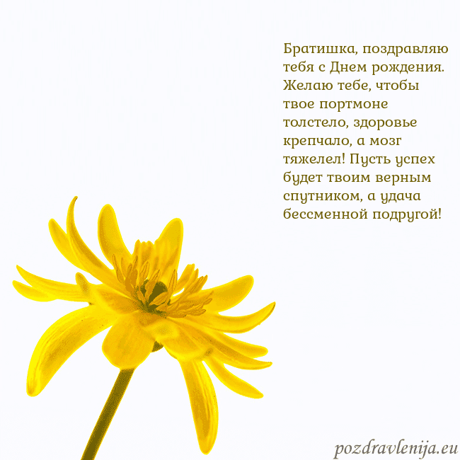 Открытка с желтым цветком