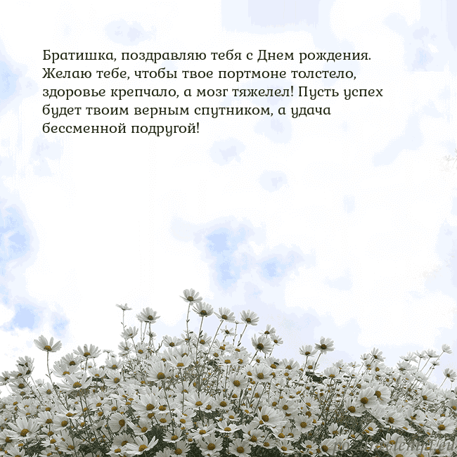 Открытка с ромашками