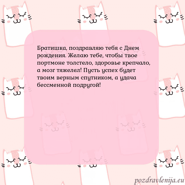 Розовая открытка с забавными кошками