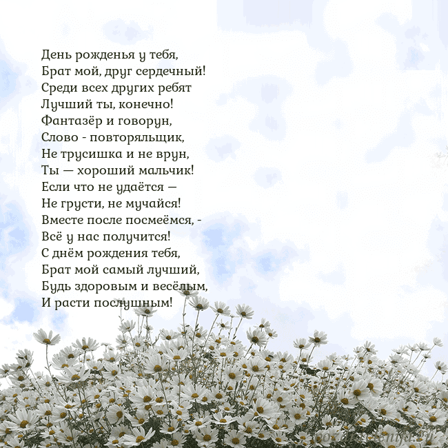 Открытка с ромашками