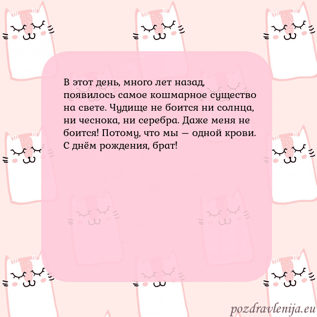 Розовая открытка с забавными кошками