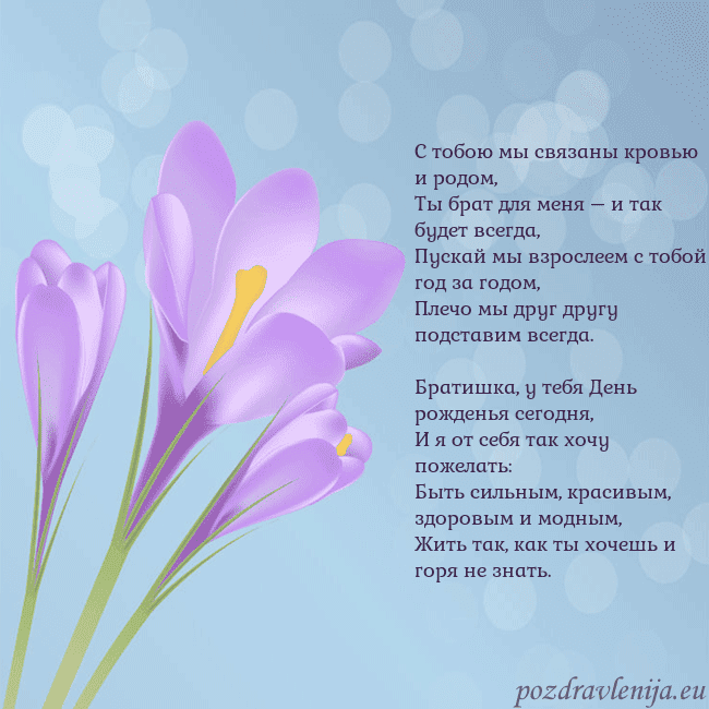 Открытка с крокусом