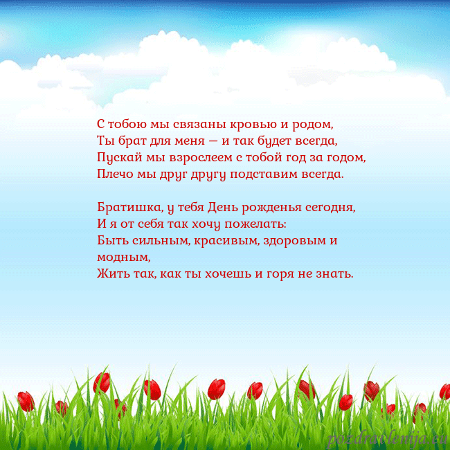 Открытка с тюльпанами