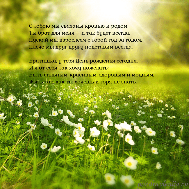 Электронная открытка с утопающим в солнечном свете лугом