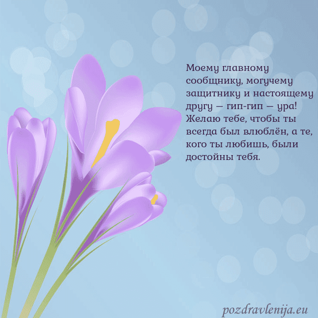 Открытка с крокусом