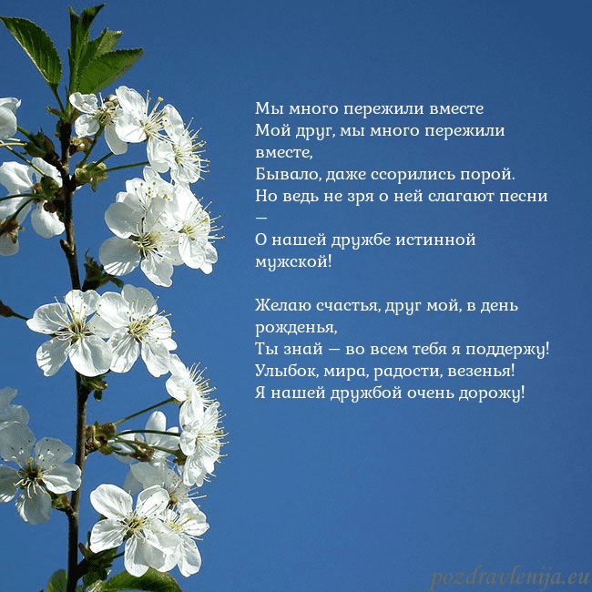 Открытка с весенними цветами