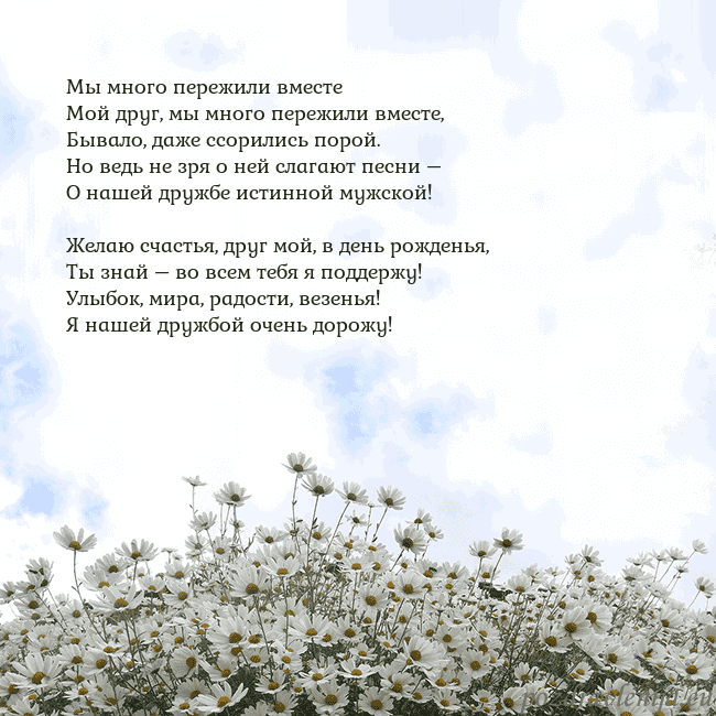 Открытка с ромашками