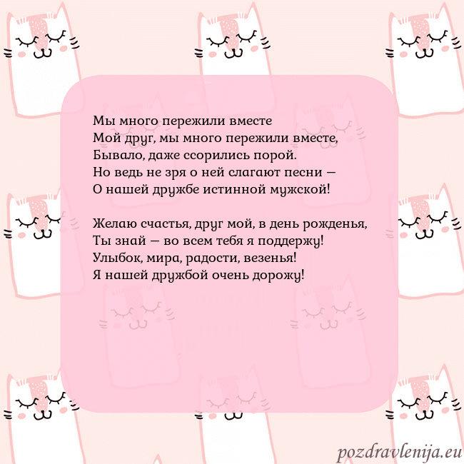 Розовая открытка с забавными кошками