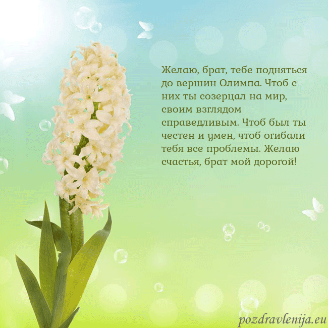 Открытка с гиацинтом