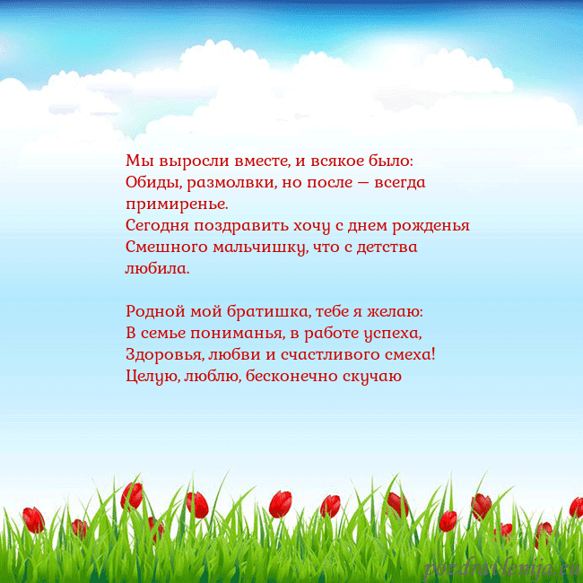 Открытка с тюльпанами