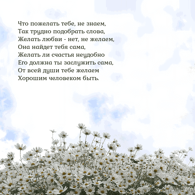 Открытка с ромашками