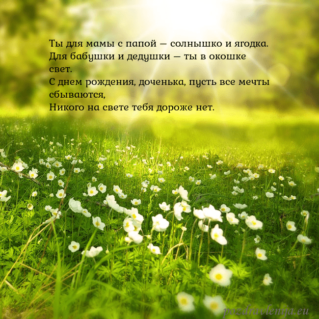 Электронная открытка с утопающим в солнечном свете лугом