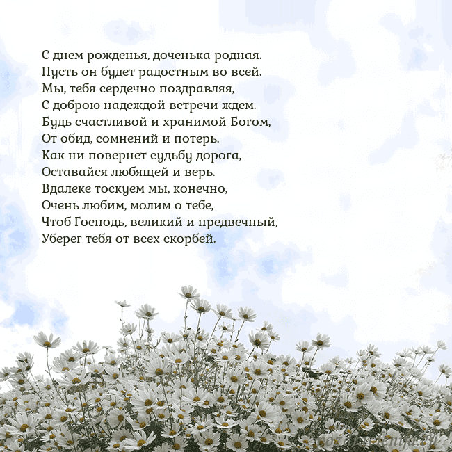 Открытка с ромашками