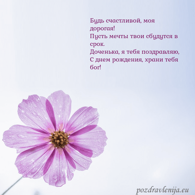 Электронная открытка с фиолетовым цветком