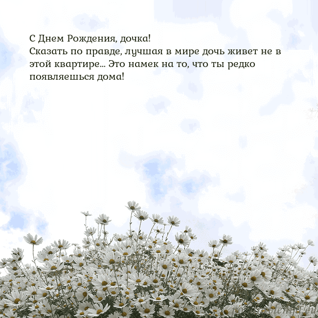 Открытка с ромашками