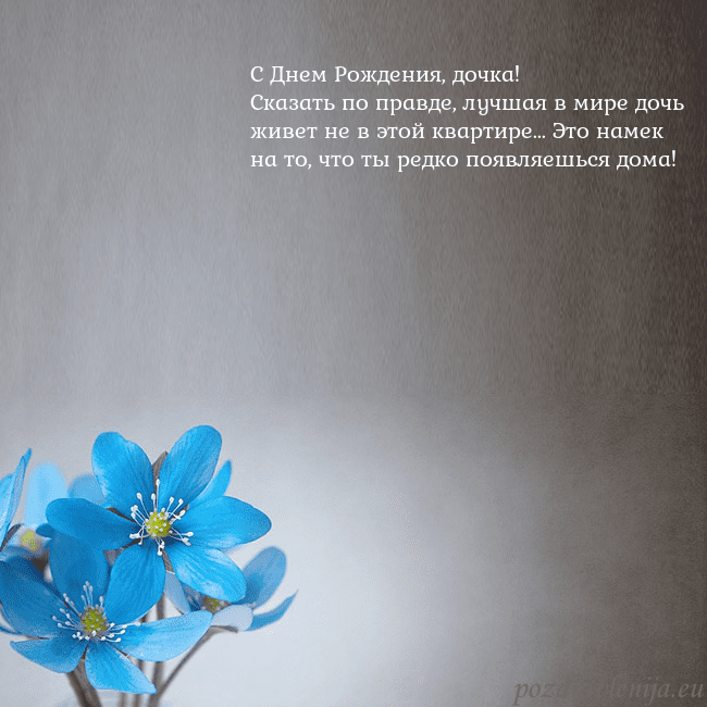 Открытка с фиалками