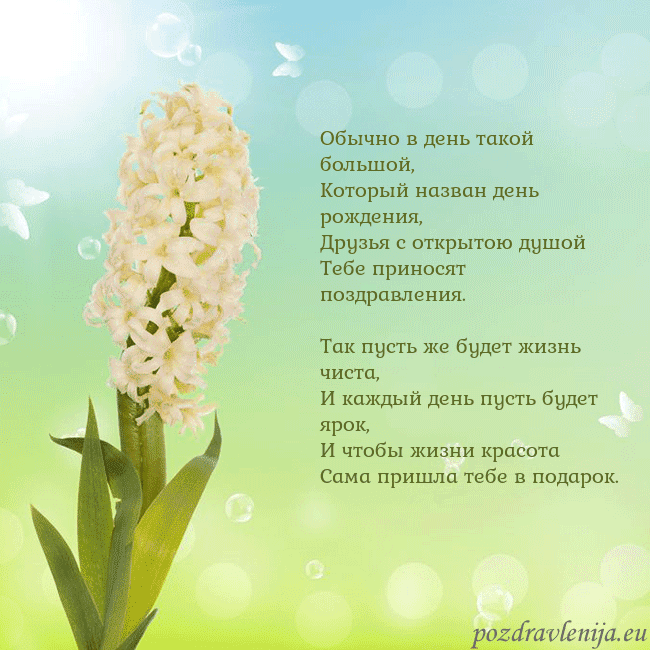 Открытка с гиацинтом