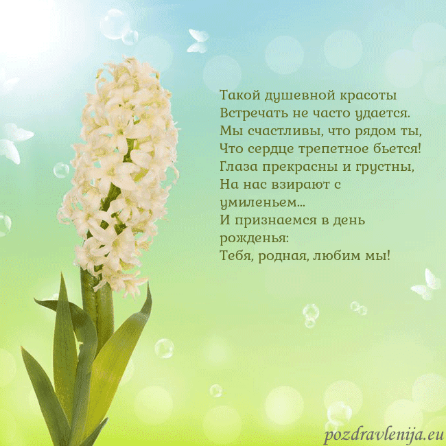 Открытка с гиацинтом