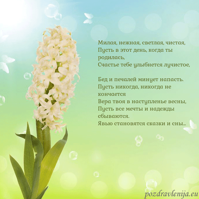 Открытка с гиацинтом