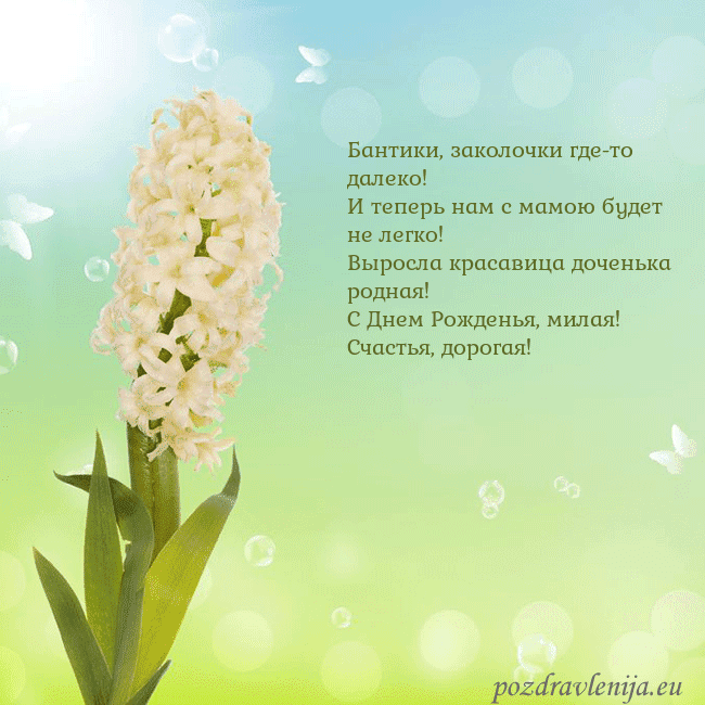 Открытка с гиацинтом