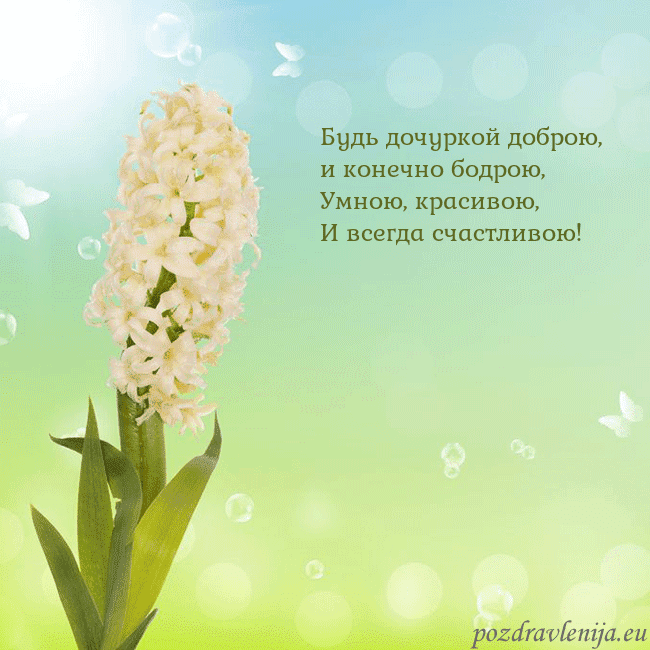 Открытка с гиацинтом