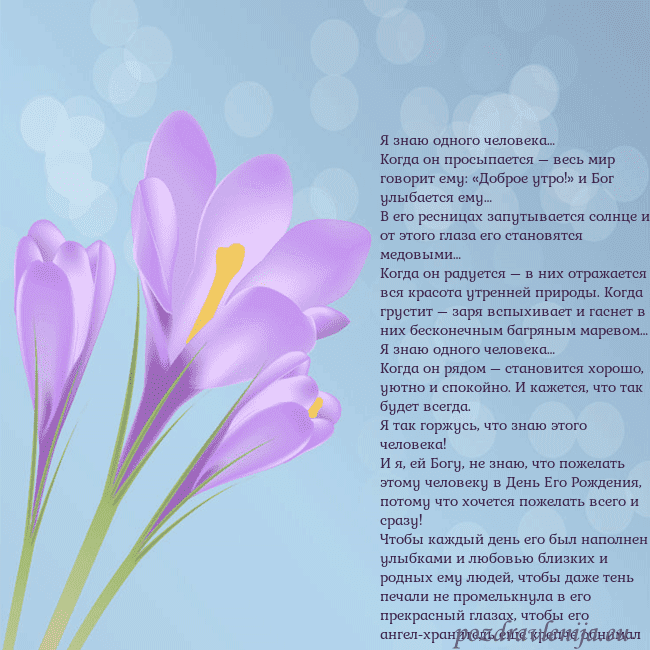 Открытка с крокусом