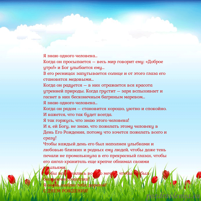 Открытка с тюльпанами