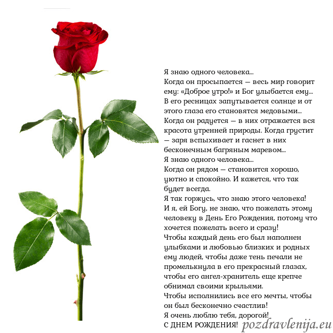 Открытка с красной розой