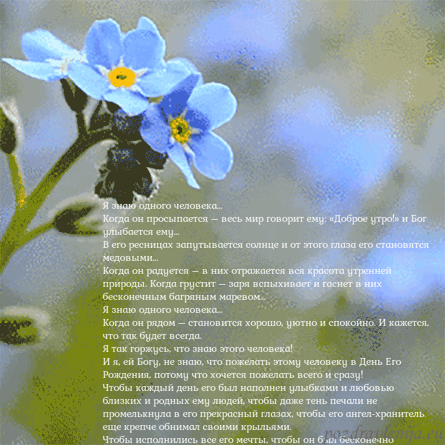 Электронная анимированная открытка с незабудками