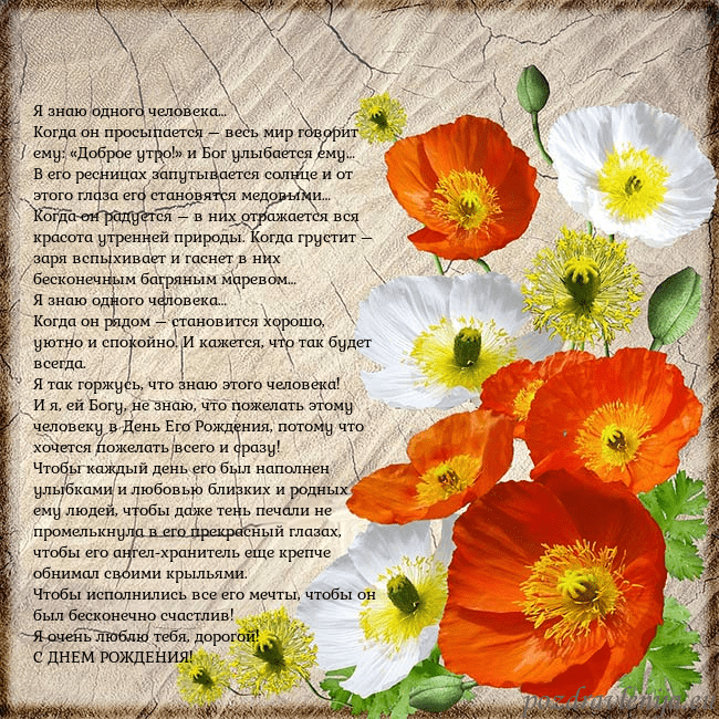 Открытка с маками