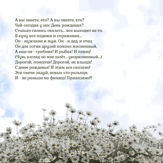 Открытка с ромашками