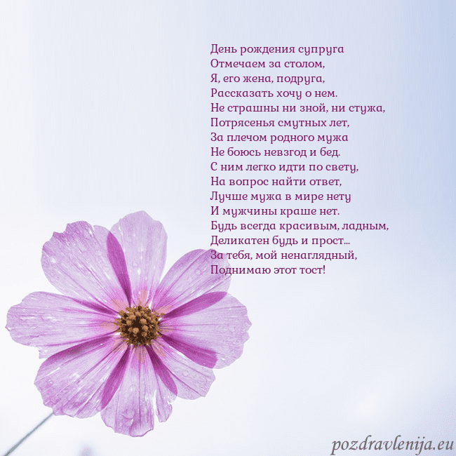 Электронная открытка с фиолетовым цветком