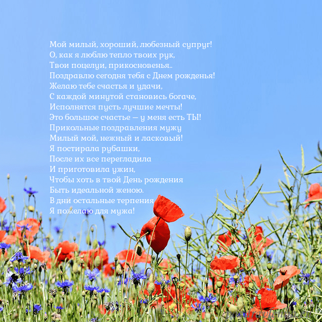 Открытка с маками