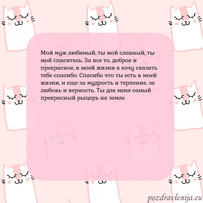 Розовая открытка с забавными кошками