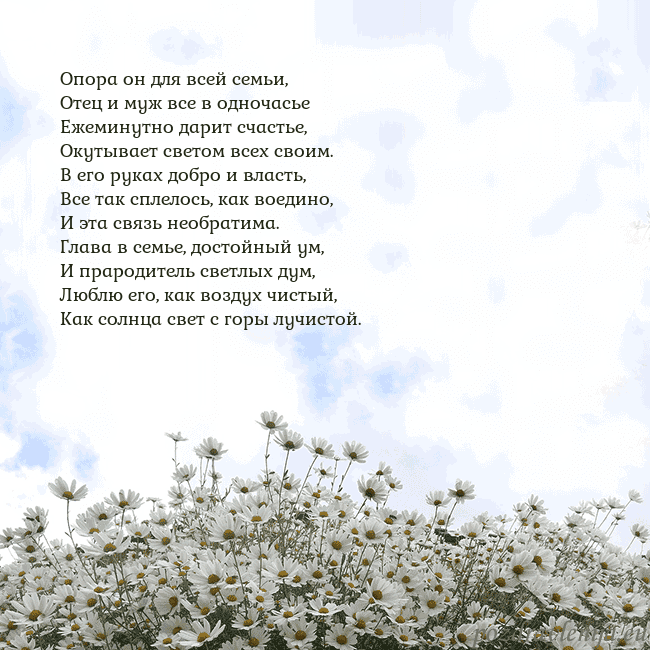 Открытка с ромашками