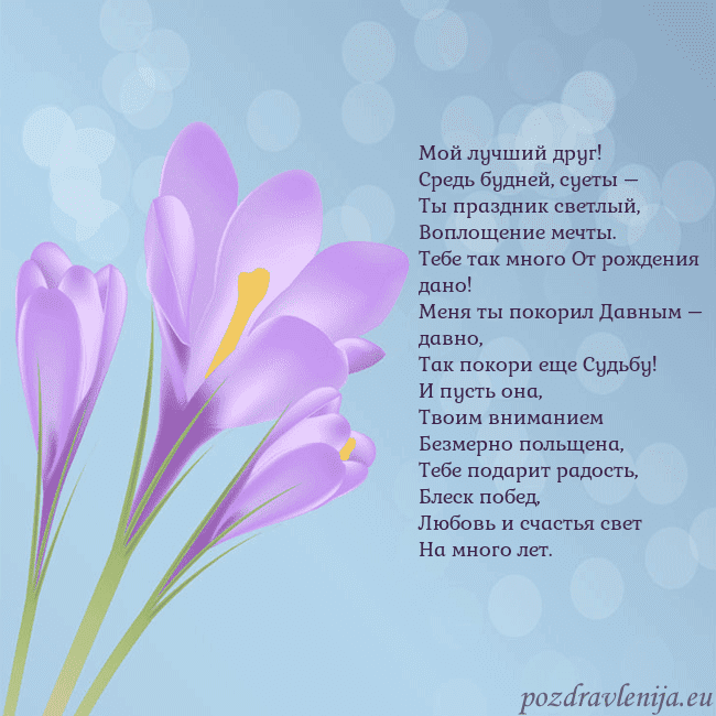Открытка с крокусом