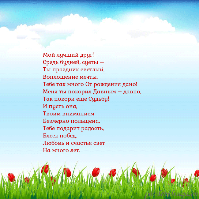 Открытка с тюльпанами