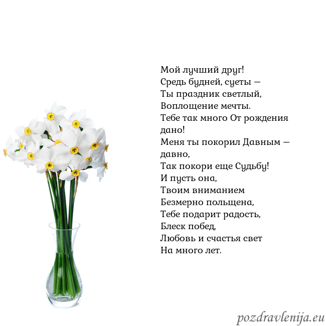 Открытка с нарциссами