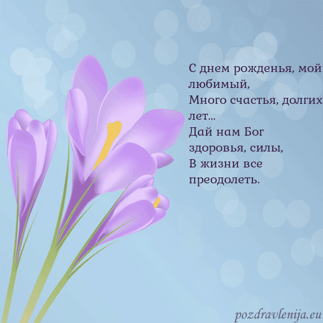 Открытка с крокусом