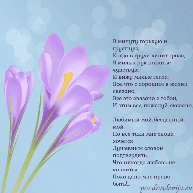 Открытка с крокусом