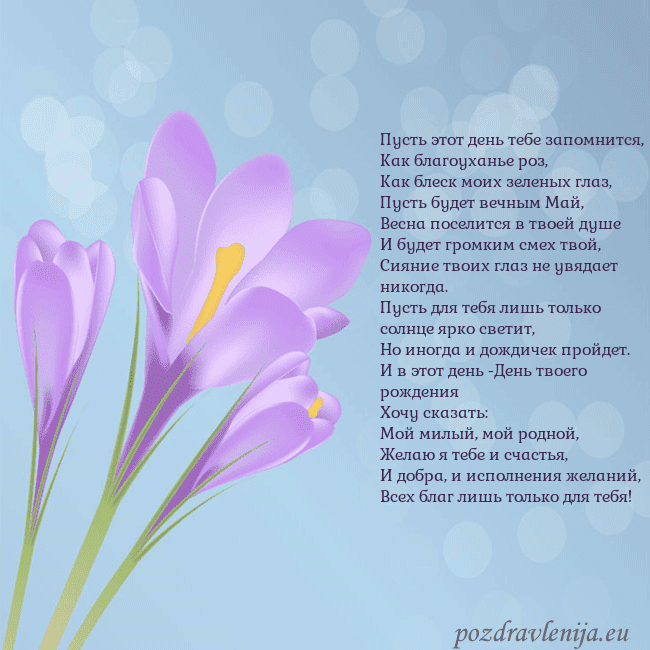Открытка с крокусом