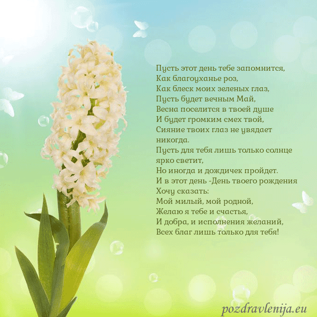 Открытка с гиацинтом