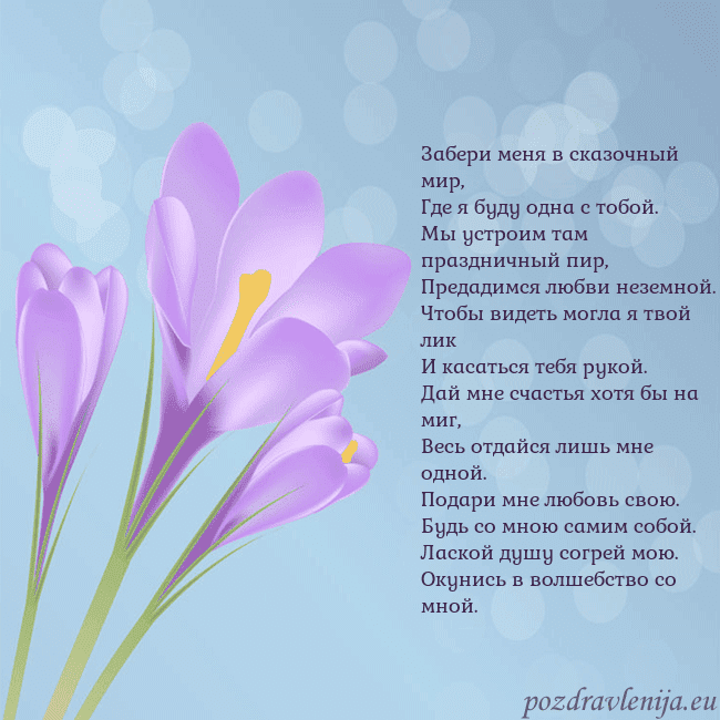 Открытка с крокусом