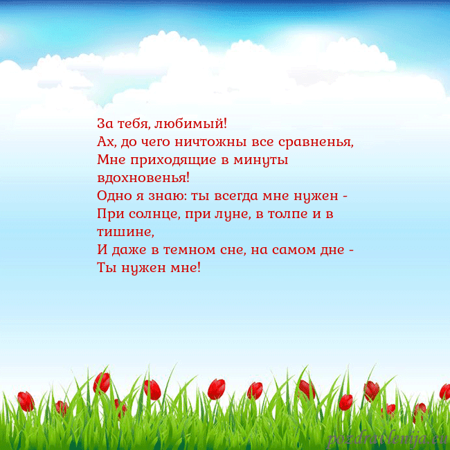 Открытка с тюльпанами