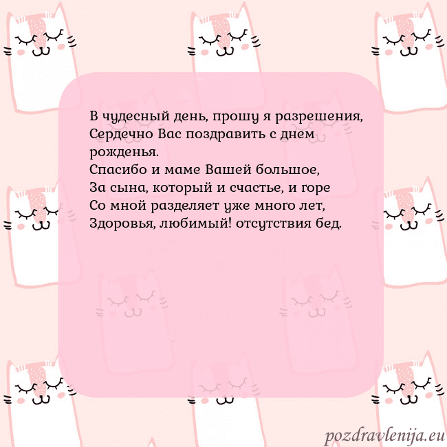 Розовая открытка с забавными кошками