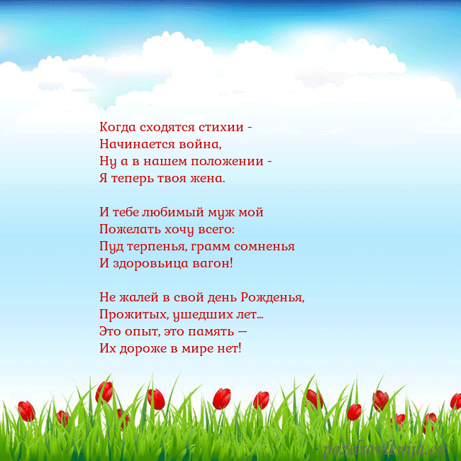 Открытка с тюльпанами