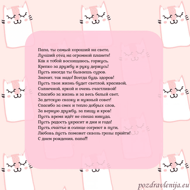 Розовая открытка с забавными кошками