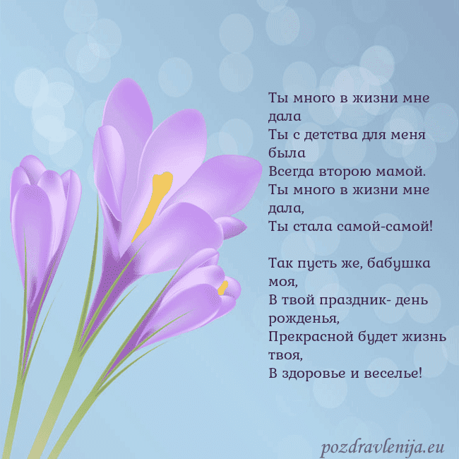 Открытка с крокусом