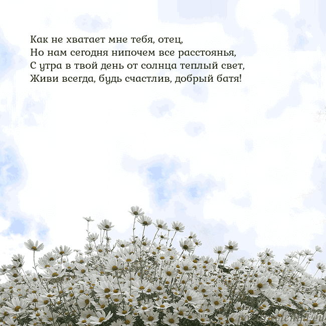 Открытка с ромашками