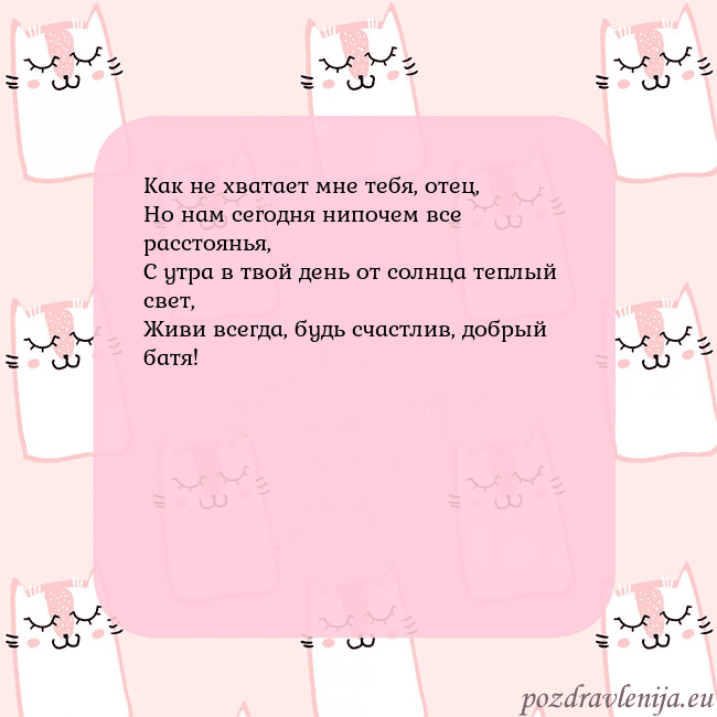 Розовая открытка с забавными кошками